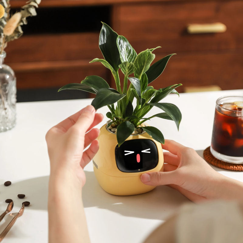 IVY AI Pot Planter