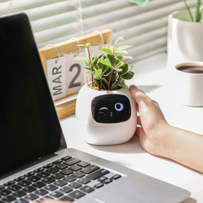 IVY AI Pot Planter